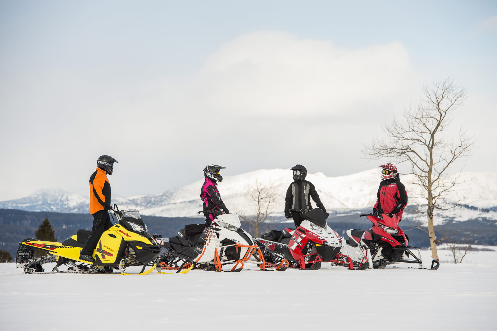 group of snowmobilers