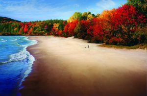Lake Superior Shoreline